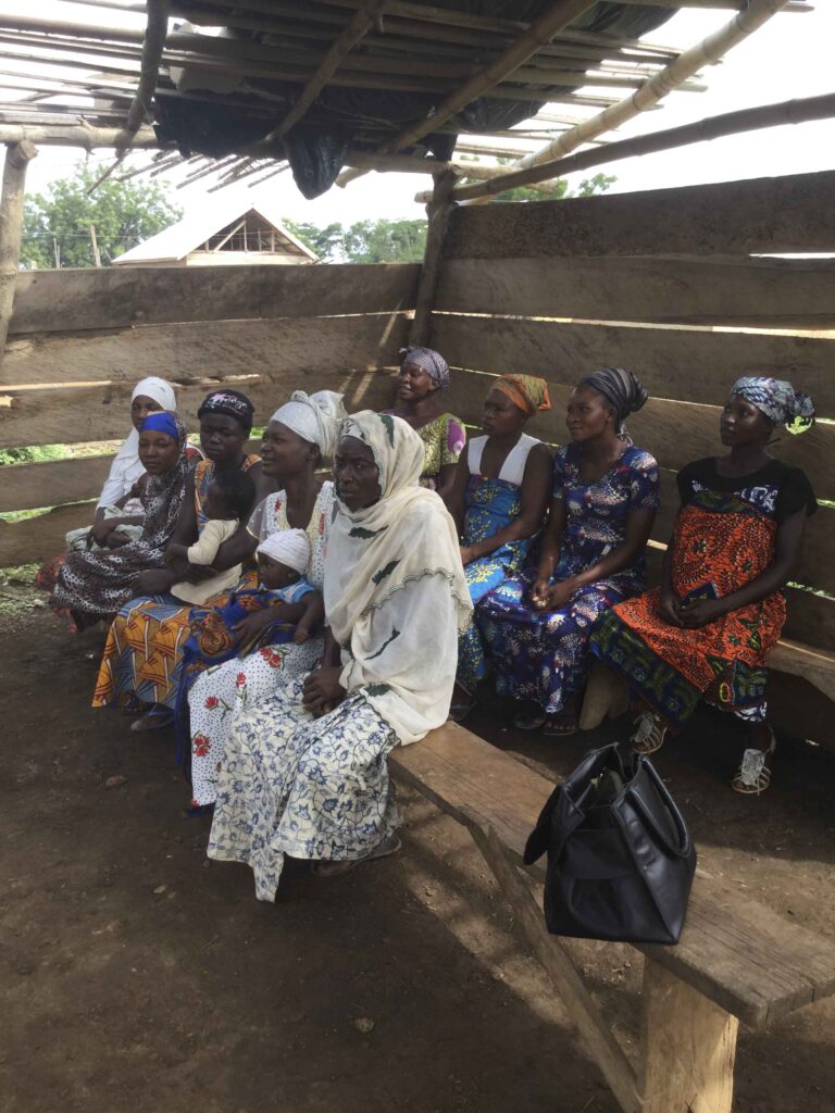 Read more about the article Mobilizations of Women in Land Issues